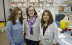 equipo de julia perez